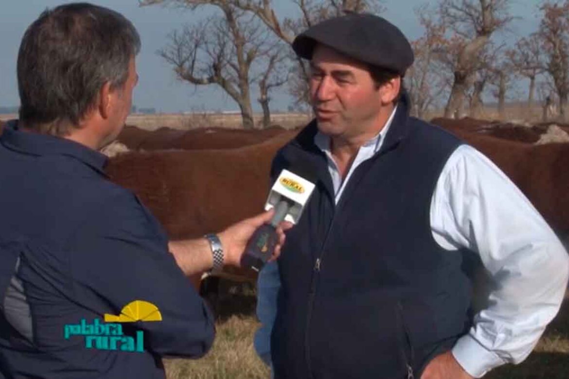 Video: Remate 2019 en palabra rural