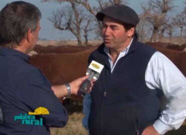 Video: Remate 2019 en palabra rural