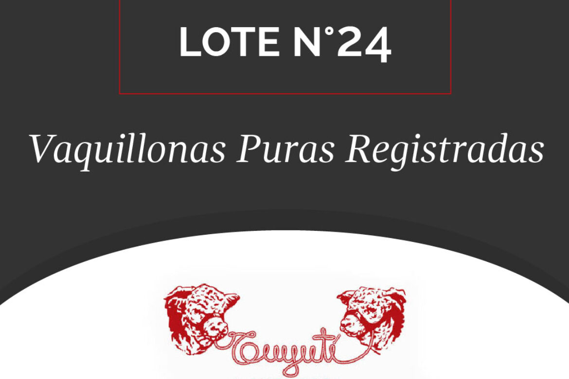 LOTE N° 24 – VAQUILLONAS PURAS REGISTRADAS