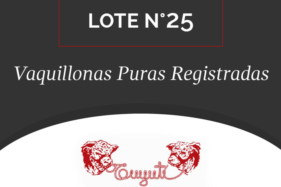 LOTE N° 25 – VAQUILLONAS PURAS REGISTRADAS