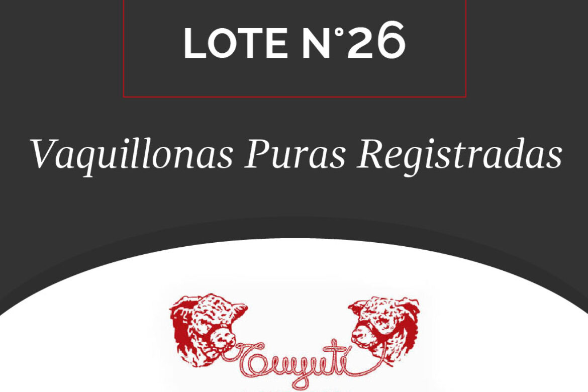 LOTE N° 26 – VAQUILLONAS PURAS REGISTRADAS