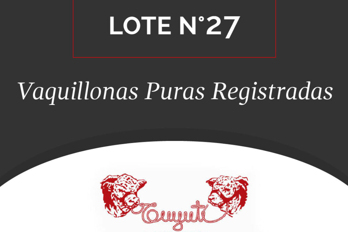 LOTE N° 27 – VAQUILLONAS PURAS REGISTRADAS